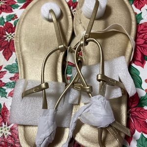 Beautiful thong sandals